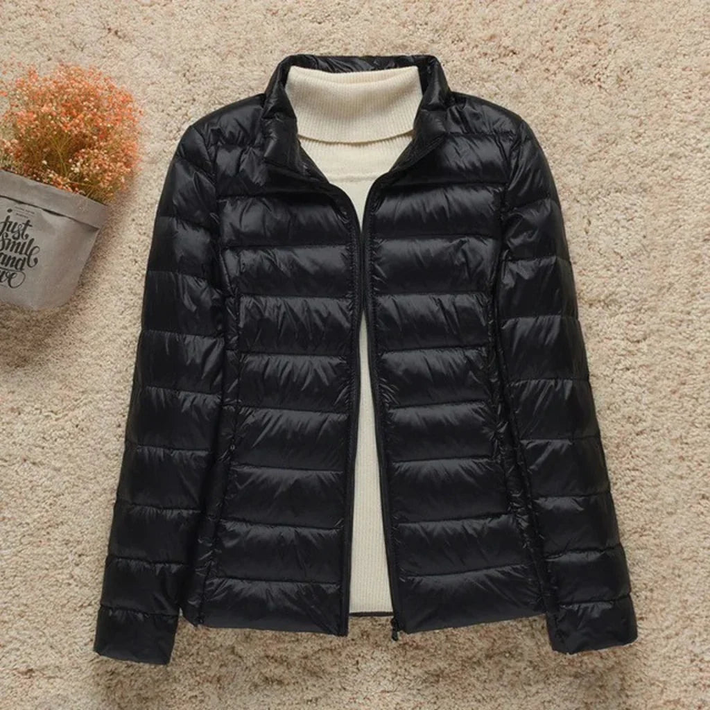Women’s Quilted Jacket – Regular Fit – Lightweight Padded – Hip Length Zip Front