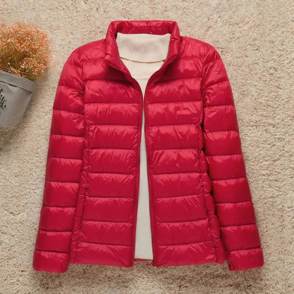 Women’s Quilted Jacket – Regular Fit – Lightweight Padded – Hip Length Zip Front