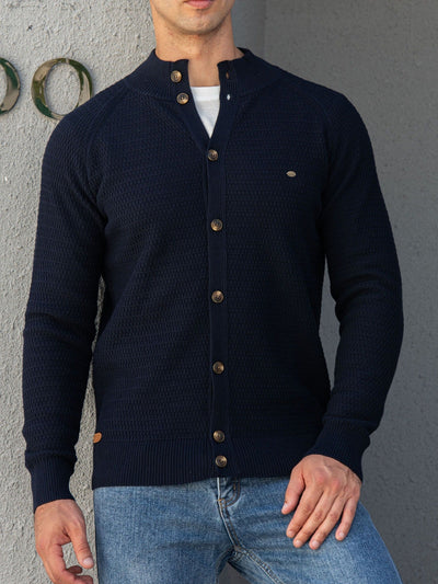 Men's stand collar buttoned dress sheared sweater