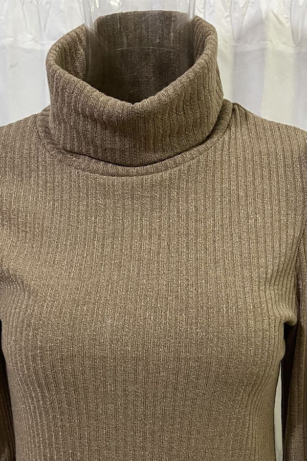 Women's long sleeve turtleneck top