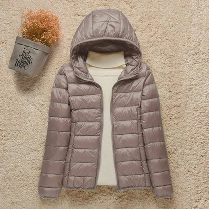 Women’s Quilted Jacket – Regular Fit – Lightweight Padded – Hip Length Zip Front