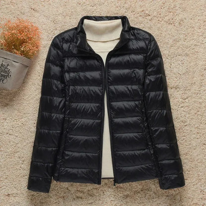 Women’s Quilted Jacket – Regular Fit – Lightweight Padded – Hip Length Zip Front