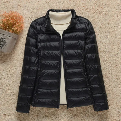 Women’s Quilted Jacket – Regular Fit – Lightweight Padded – Hip Length Zip Front