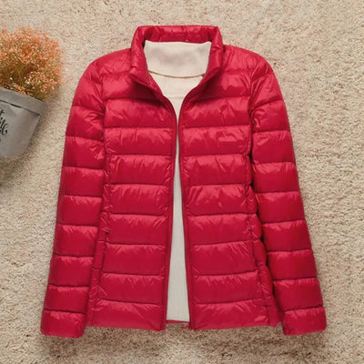 Women’s Quilted Jacket – Regular Fit – Lightweight Padded – Hip Length Zip Front