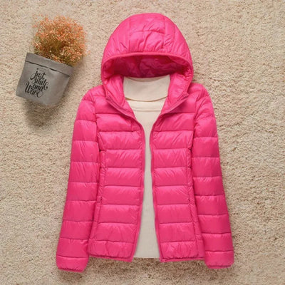 Women’s Quilted Jacket – Regular Fit – Lightweight Padded – Hip Length Zip Front