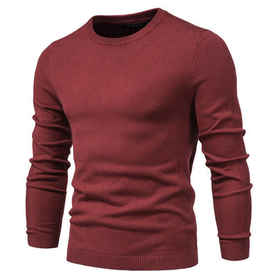 Men's knitted crewneck sweater