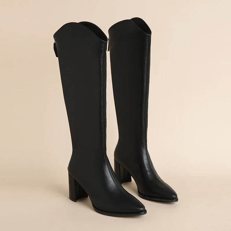 Stylish knee high boots for women