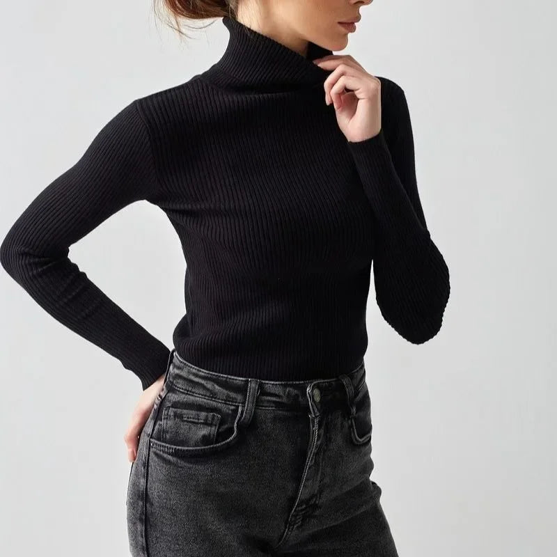 Women's ribbed turtleneck sweater