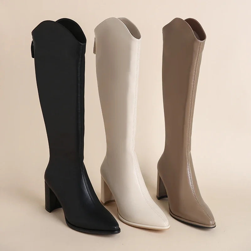 Stylish knee high boots for women