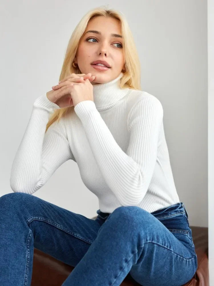 Women's ribbed turtleneck sweater