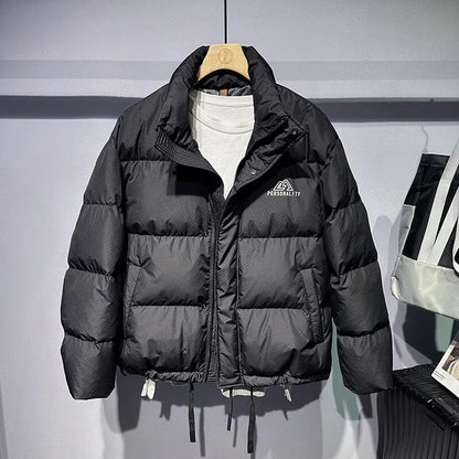 Men's modern down winter jacket