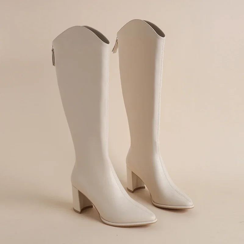 Stylish knee high boots for women