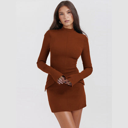 Women’s Mini Dress – Slim Fit – High Neck – Long Sleeve – Tailored Structured Design